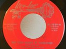 Sweet Soul Funk 45 Sunny and The Sunliners We Can Make It.. / Get Down Key-Loc