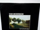 Van Morrison : Can you feel the silence  Live  Essen `82 2-LP Coloured vinyl