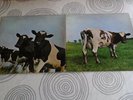 PINK FLOYD ATOM HEART MOTHER 1970 LP MADE UK 1st PRESS A4/B3 NO EMI BOX SHVL 781