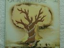 On The Seventh Day ... - # 1, 1970 nice M-/M- psychedelic rock Lp.