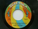 BOBBY WILLIAMS - I'VE ONLY GOT MYSELF TO BLAME
