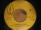 The Supremes - I Want A Guy / Never Again - 45 - Tamla 54038 - 1961 Original