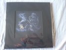 THE  RUINS OF BEVERAST EXUVIA LAVISH EDITION BOX VINYLS CD POSTER AND MORE NEW