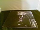 Dark Sky Paradise [LP] by Big Sean (Vinyl, May-2015, 2 Discs, Def Jam (USA))