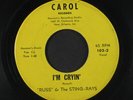 RUSS & STING-RAYS: Do The Surf / I'm Cryin' 45 Oldies