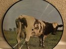 PINK FLOYD- ATOM HEART MOTHER PICTURED VINYL