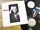 STING NOTHING LIKE THE SUN LP 33T VINYLE EX COVER EX ORIGINAL 1987 USA IMPORT