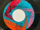Little Sonny 45 