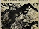 Gap Mangione Trio - Diana In The Autumn Wind - GRC 1968 - OP - VG+