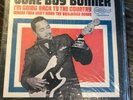 Lp Juke Boy Bonner I'm going back to the Country Vinyl Rare Arhoolie