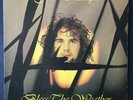 John Martyn, Bless The Weather, Island vinyl LP, original Uk 1970s folk