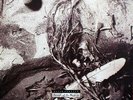David Sylvian Secrets Of The Beehive Virgin Vinyl LP