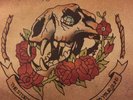 The Story So Far / Stick to Your Guns Split- Oxblood Red