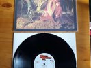 Echo and the Bunnymen Crocodiles First Press Excellent Condition