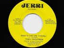 Tony Troutman - What's The Use / (inst.) (Soul, 45) 102