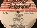 AFTER HOURS - WATER FALLS / FEEL IT - RARE  1991 STRICTLY RHYTHM  SR1234 MINT