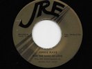 Jimmie Raye - For The Sake Of Love / You Must Be Losing Your Mind (Soul 45) 422