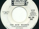 MICHAEL BLESSING (Mike Nesmith) The New Recruit 7