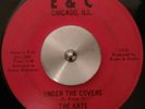 Rare Funk 45 - THE KATS - UNDER THE COVERS / WEAR ME OUT on E&C