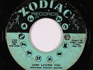 Northern Soul 45 - Ruby Andrews - Just Loving You - Zodiac - mp3