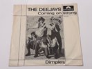 RARE  SP/THE DEEJAYS/DIMPLES/FANTASTIC GARAGE ROCK