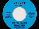Funk 45 - Arlene Bell - Did You Mean It - Velvet - mp3