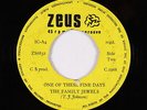 Funk R&B 45 - Family Jewels - One Of These Fine Days - Zeus - mp3 - unknown?