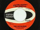 Northern Soul 45 - Catalinas - You Haven't The Right - Scepter - mp3