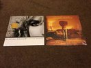 LUCINDA WILLIAMS 2 X SEALED LP'S WORLD WITHOUT TEARS & LITTLE HONEY  FREE POST