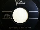 BILLY STORM 45 Puppy Love Is Here to Stay/Push Over VISTA teen NM jf169