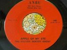 Monster Arkansas Fuzz Garage Psych Private 45 Marion Deaton Group Apple HEAR