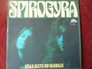 SPIROGYRA - Bells, Boots and shambles  Orig.Green Brain 1973 TOP  MINT   RARE
