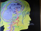 KEITH TIPPETT GROUP - DEDICATED TO YOU - ORIGINAL UK 1971 - VERTIGO