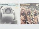 Mudhoney Touch Me I'm Sick b/w Sweet Young Thing 7