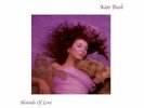 KATE BUSH - Hounds Of Love (180G Vinyl LP) 2018 Parlophone Europe NEW / SEALED