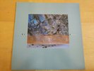 LP - DIF JUZ - Extractions, CAD-505, 1985, 4AD, Ethereal Indie Rock RARE MINT