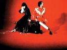 White Stripes - Elephant [2LP] (180 Gram Black Vinyl, download, gatefold) SEALED