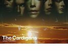Cardigans - Gran Turismo (Vinyl Used Very Good)