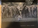 ALLMAN BROTHERS BAND - HITTIN' THE NOTE  2 Lp Rare OOP Govt Mule Warren Haynes
