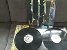 Type o Negative - October Rust- 2LP 2006 repress Roadrunner Rec Cargo rec VG++
