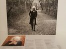 Emmylou harris all i intended to be vinyl original 2008 press very rare mint