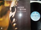 MUDDY WATERS   