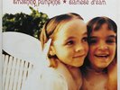 Uk Original Smashing Pumpkins Siamese Dream 2Lp James Iha