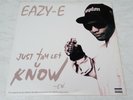 Just Tah Let U Know Eazy-E US vinyl single 1995 Ruthless Records N.W.A