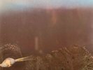 Light of Darkness-same UK German prog psych  lp reissue brand new Long Hair