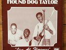 Hound Dog Taylor – Live At Florences – NM Chicago Blues Import Vinyl LP – Yellow