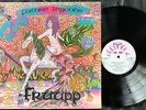FRUUP - FUTURE LEGENDS   1973 UK DAWN Label G/F PROG ROCK LP  EX+