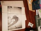 Pj Harvey Vinyl X 3 Originals