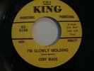 Rare CODY BLACK - I'm Slowly Molding / Keep On Keeping On 7