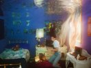 WEYES BLOOD - TITANIC RISING   VINYL LP + MP3 NEW+